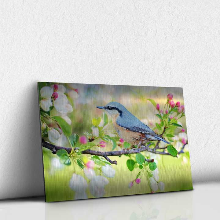 Blue bird