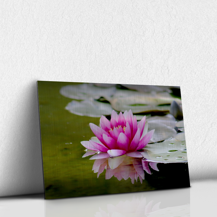 Flor de Loto
