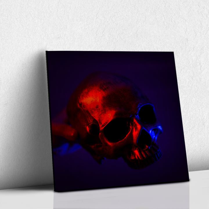 Front skull