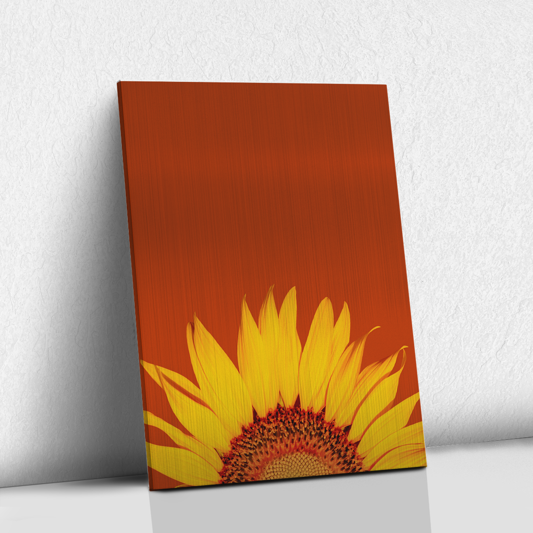 Girasol