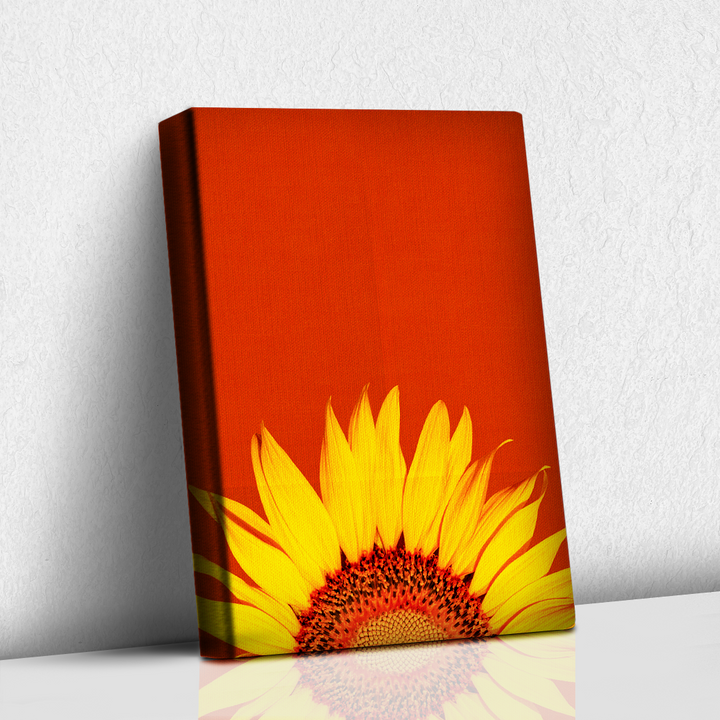 Girasol
