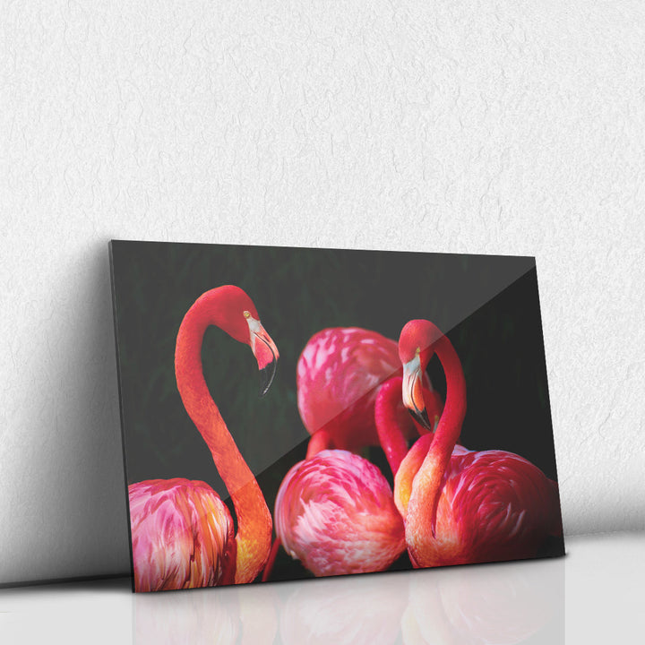 Flamencos