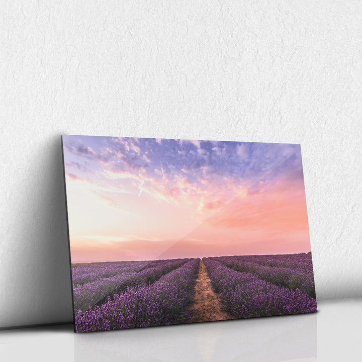 Lavanda