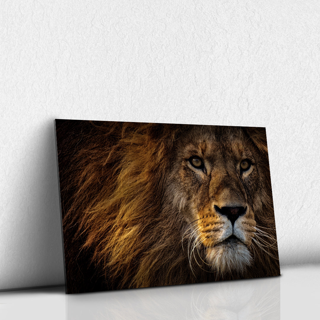 León