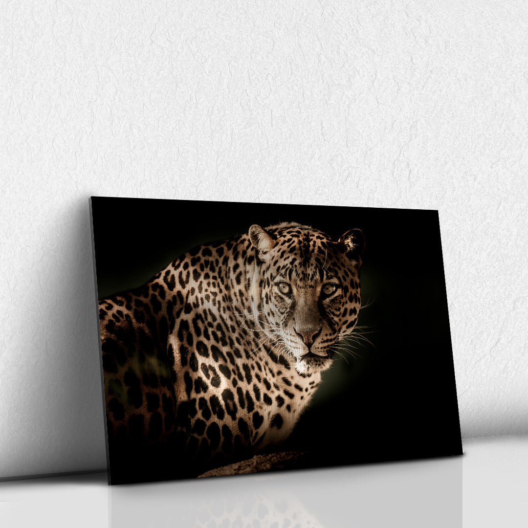 Leopardo