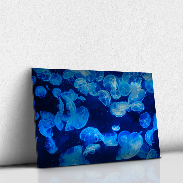 Medusas azules