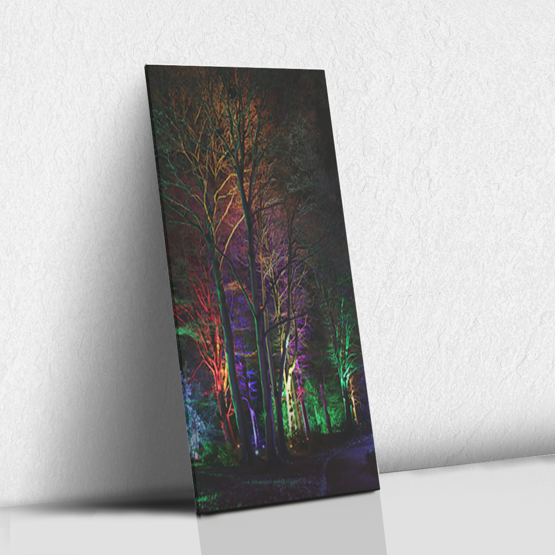 Neon Trees