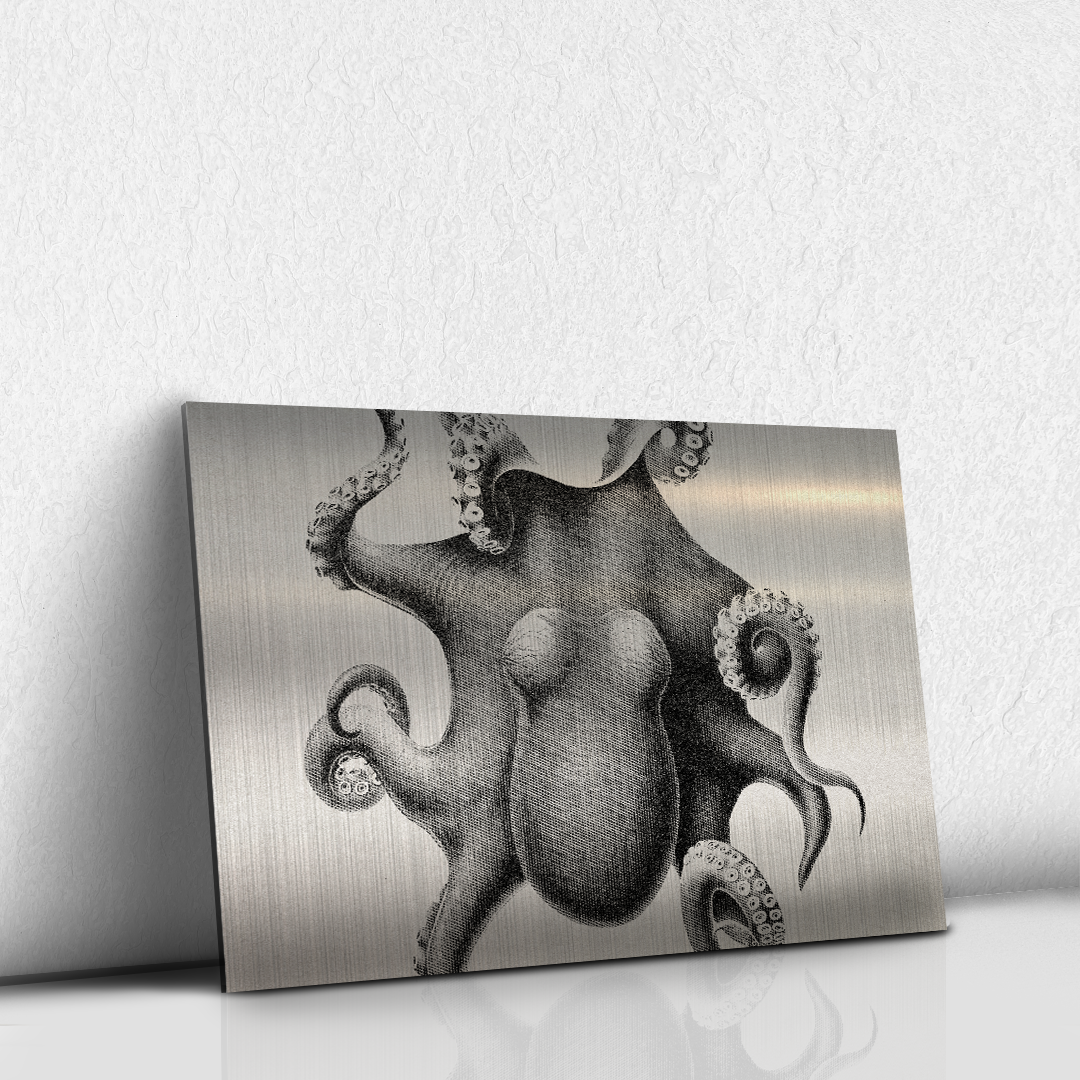 Octopus