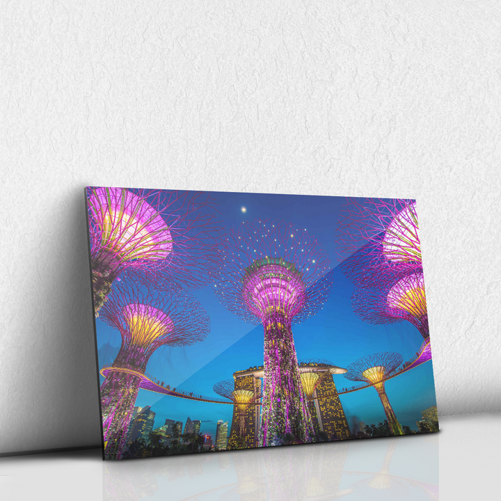Supertree Grove