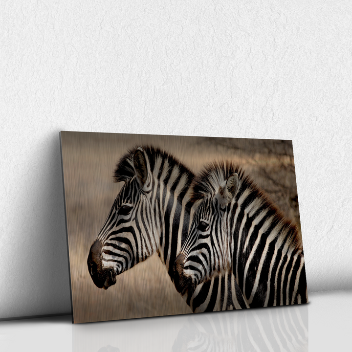 Zebras