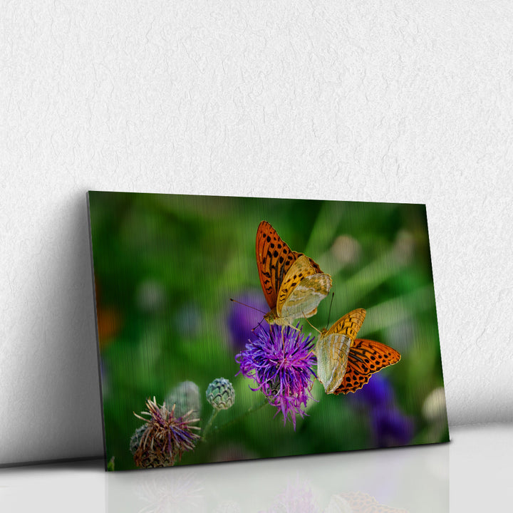 Mariposas