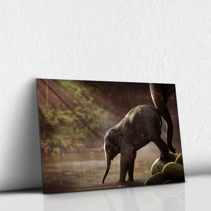 Elefante bebe