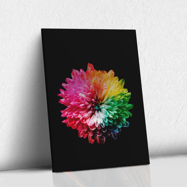 Flor colorida