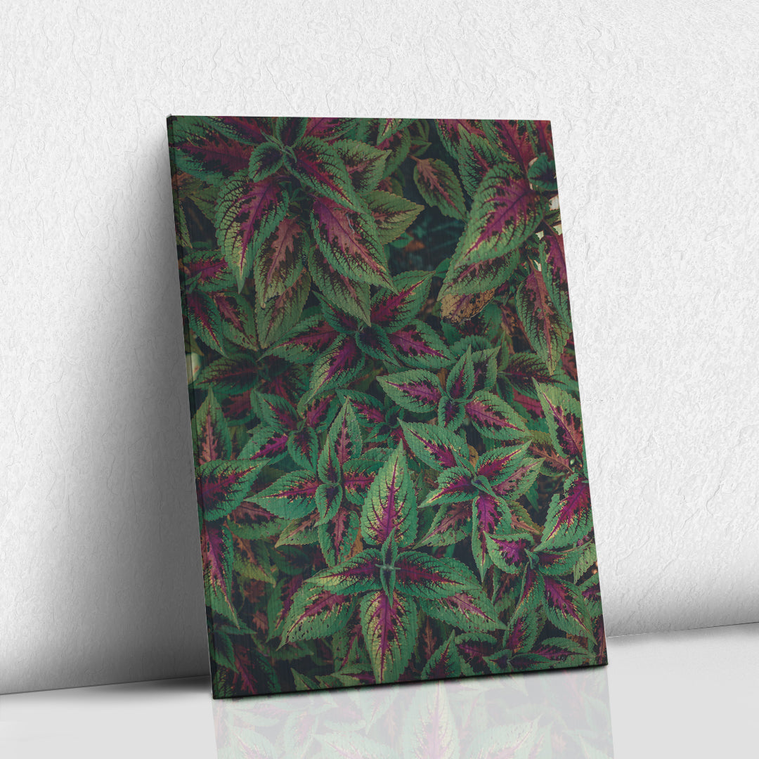 Hojas en verde y rosa