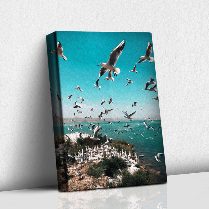 Parvada de Gaviotas